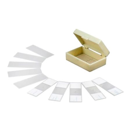United Scope Llc. AmScope PB10 10 pc. Prepared & Blank Microscope Glass Slides PB10